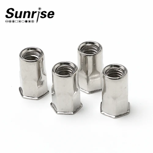 Cage Nuts Rivet Nested Nut ڈالیں۔