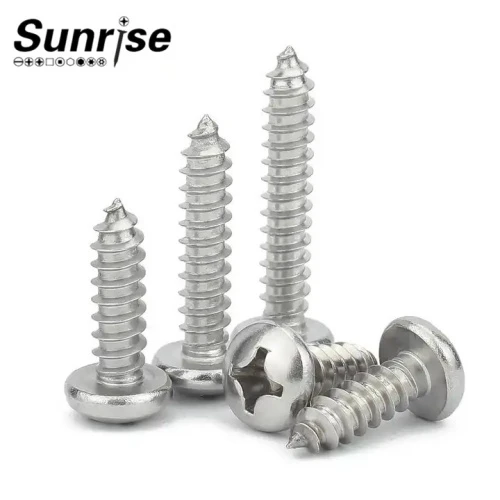 M2 M3 M5 M6 M8 M10 Phillips Pan Head Self-tapping Screws SS316 6