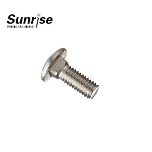 DIN603 Carraige Bolt 3